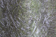 Dolphinton fibreglass roof work